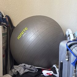 Workout ball