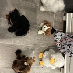 Webkinz W/O Codes