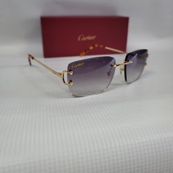 Cartier Sunglasses Big C 😎 