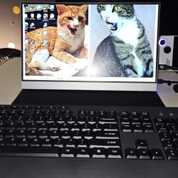 Portable Gaming Monitor 
