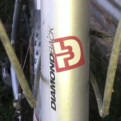 DiamondBack Mountain Bike