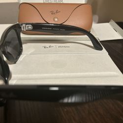 Ray-Ban Meta Wayfarer