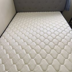 Full Size Bed.  With Frame, Foam, Cover, Headboard Bed Cover
