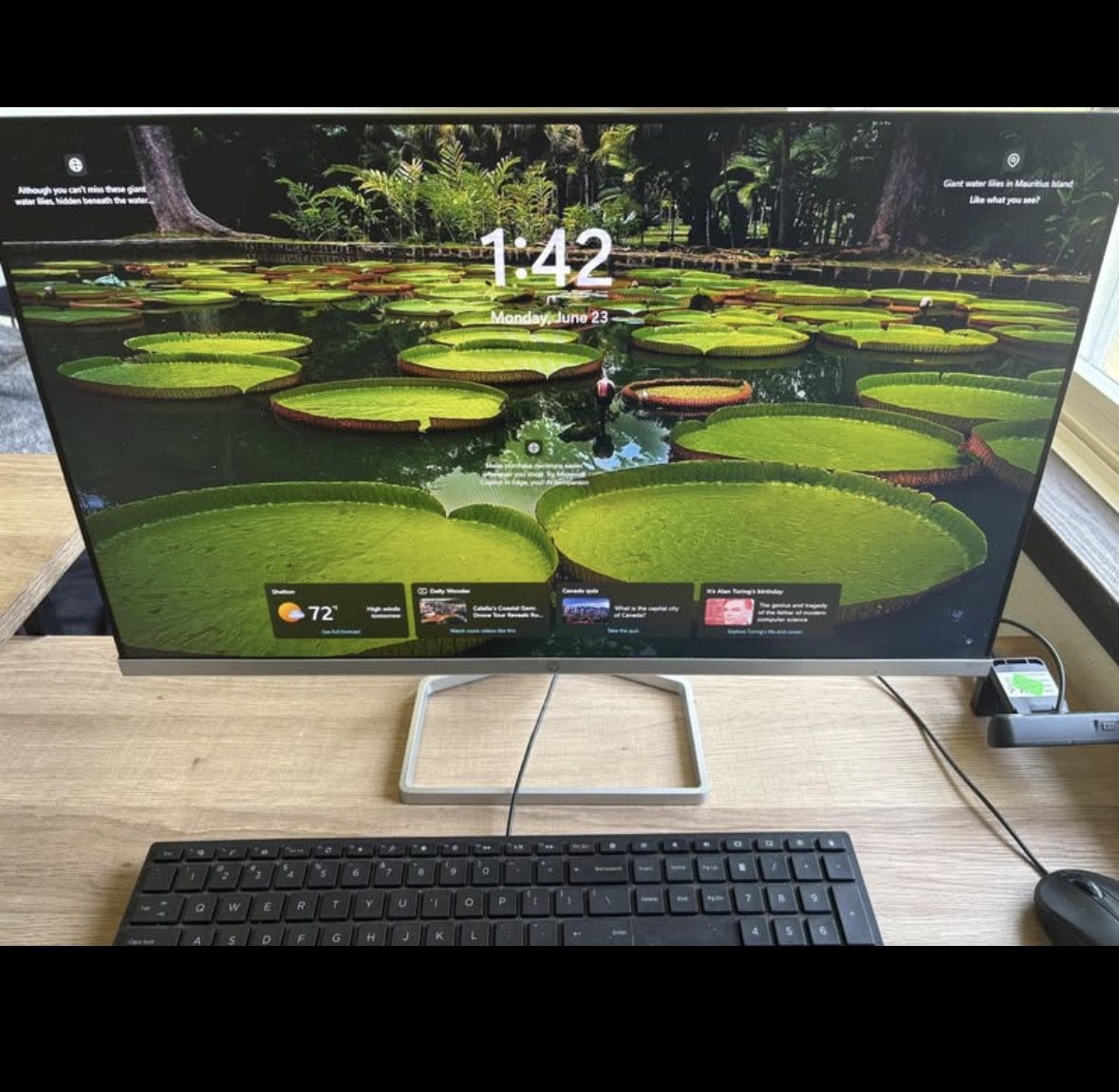 PC Monitor