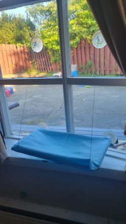 Bed For A Cat On The Window