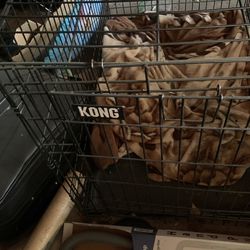Kong Dog Cage