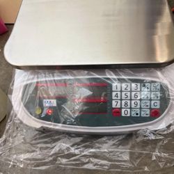 Digital Electronic Scale
