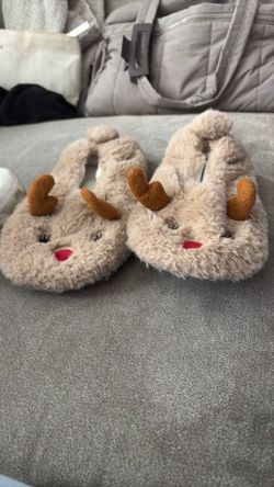 Chrismas rainder shoes