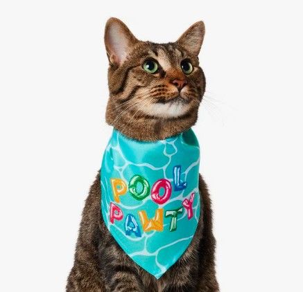 Frisco Summer Pool Pawty Dog & Cat Bandana