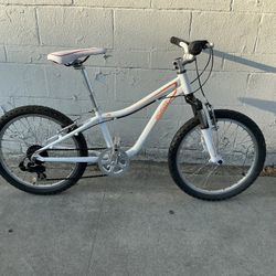 Specialized 20in MTB 