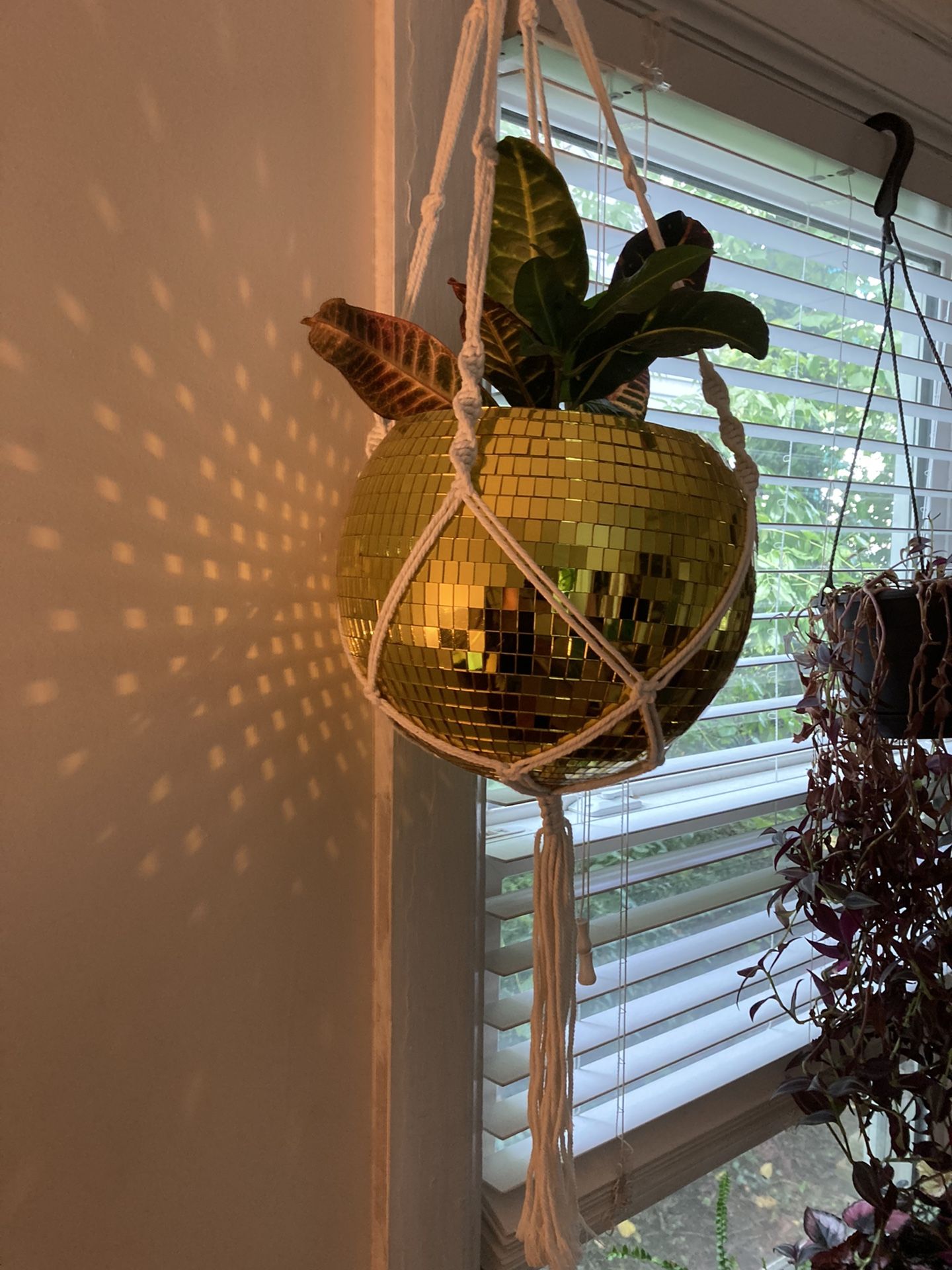 Hanging Disco Ball Plant Holder