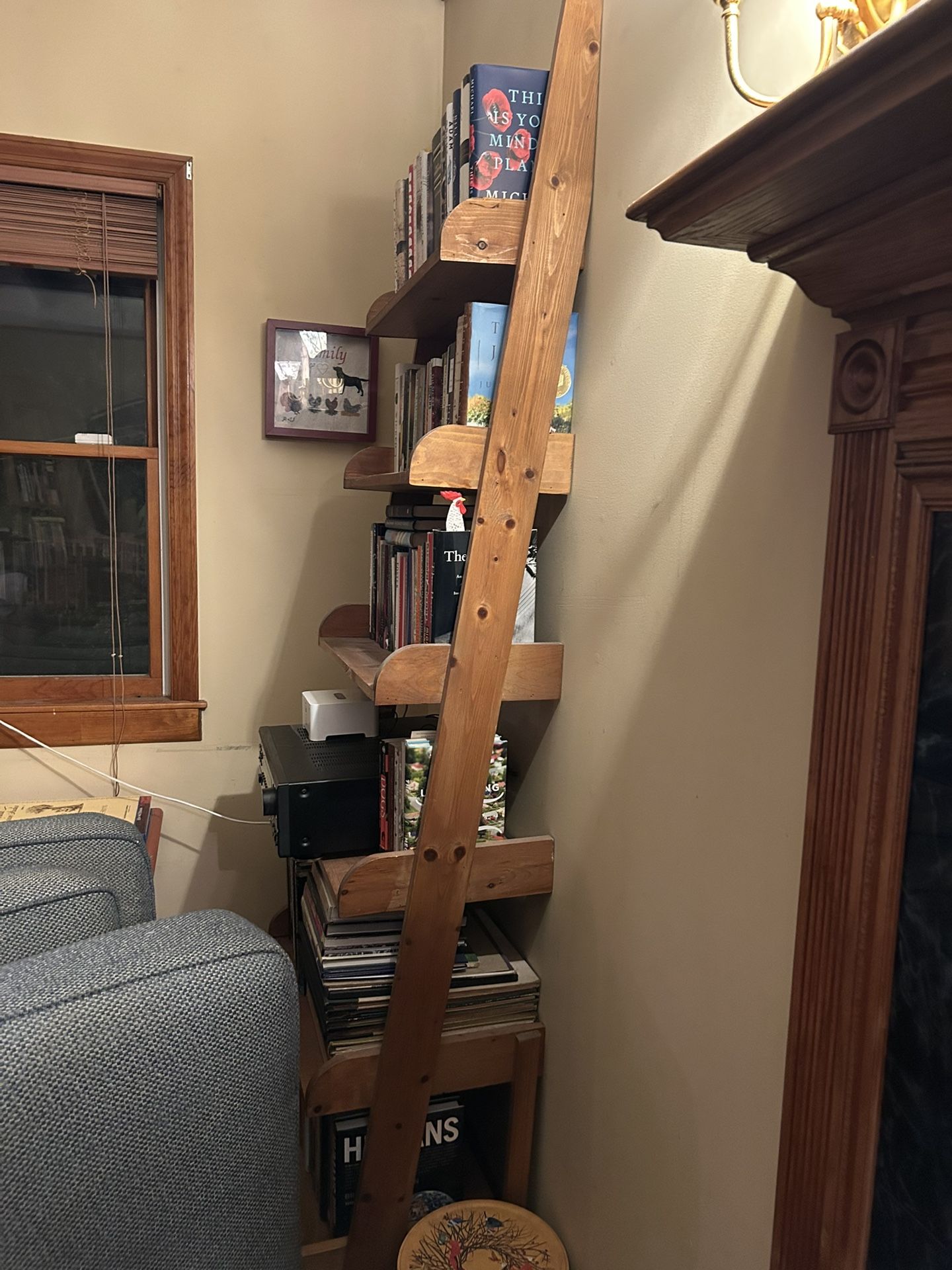 Ladder Book Shelves