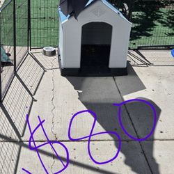 Dog House