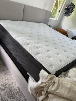 King Matress