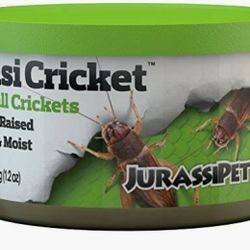NEW CRICKETS FOOD