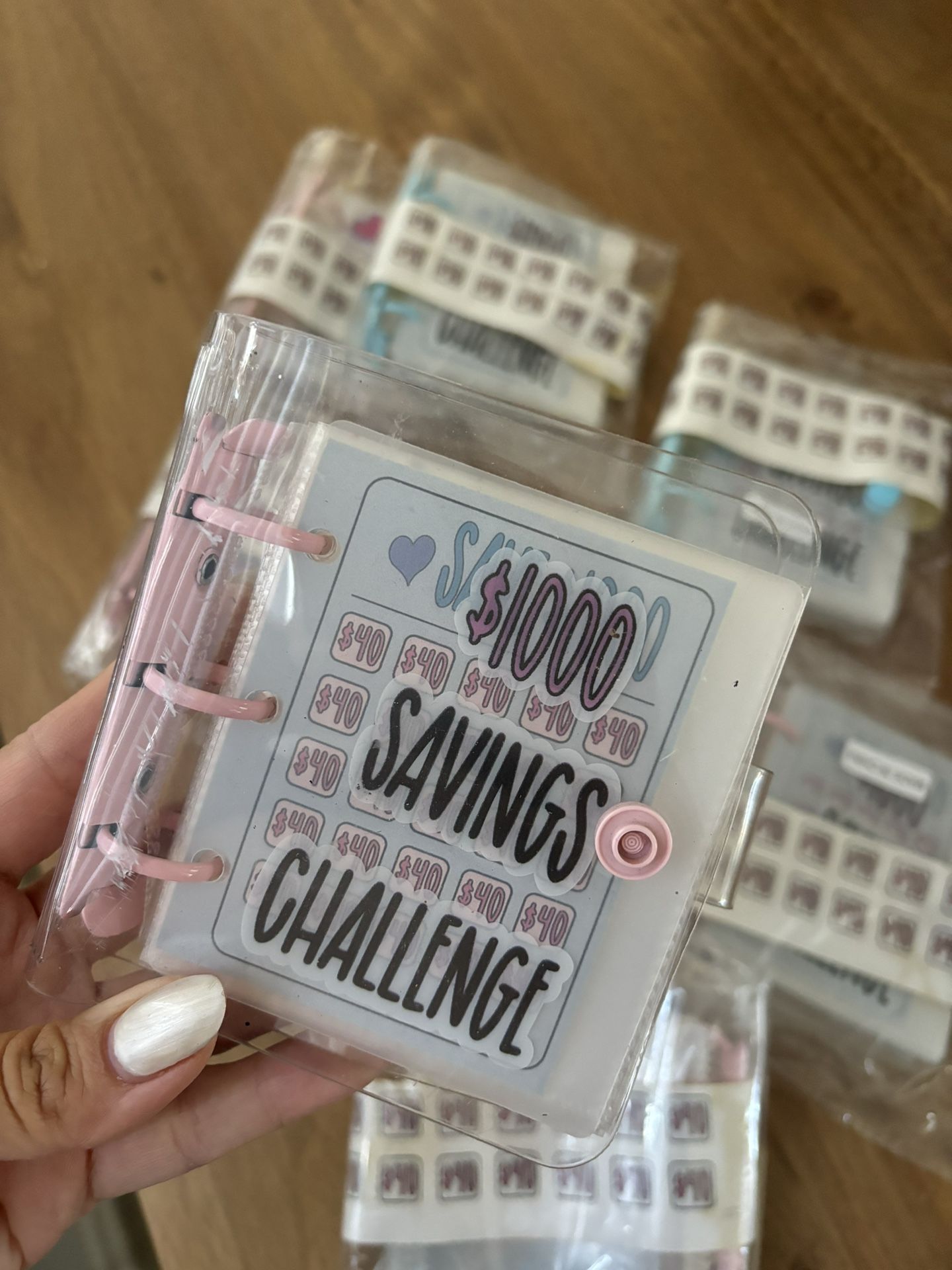 Saving Challenge Mini Books