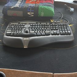 Microsoft Natural Ergonomic Keyboard 4000 V1.0 Wired USB