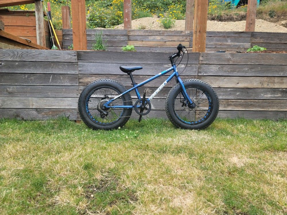 Kids Fat Tire Bike