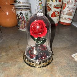 Beauty & The Beast Rose