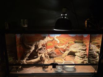 3ft Long Terrarium