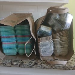 FREE EGG CARTONS