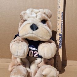 Gemmy NFL Party Pooch Chicago Bears