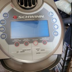 Schwinn Recumbent Bike