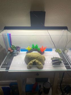 Delivery $10 -Glass Fish Tank $75/$60 w/out Accessories