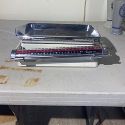Scale