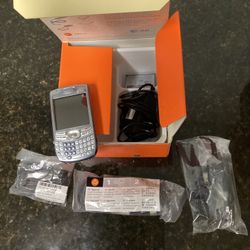 Vintage Palm Tree 680