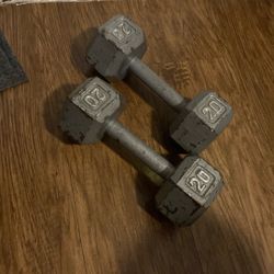 20 lbs. Hex-Dumbells / Pair