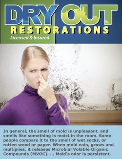 Mold removal
