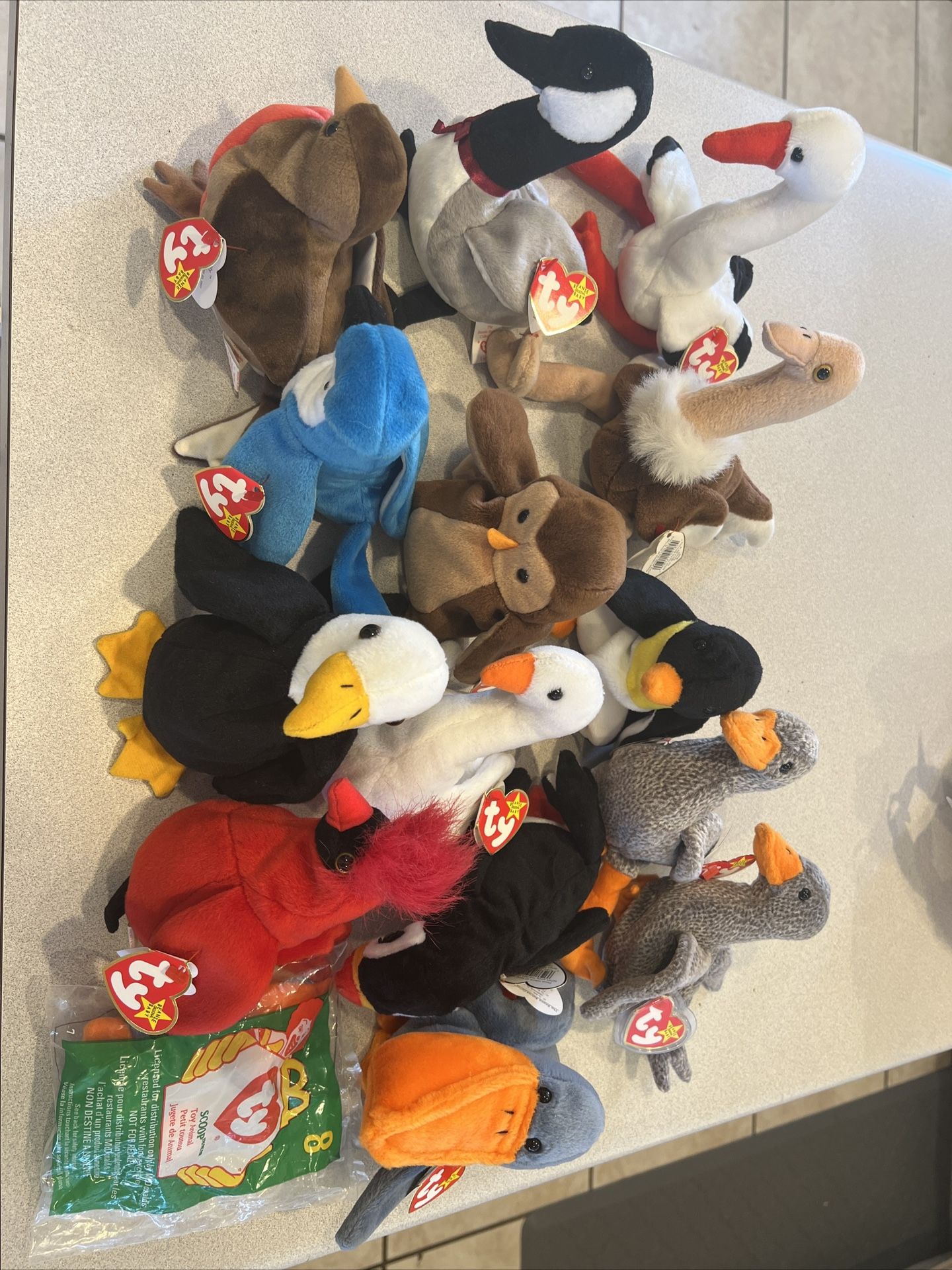 Beanie Babies – Bird Collection Lot