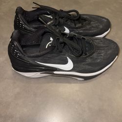 Nike Air Zoom GT Cut 2