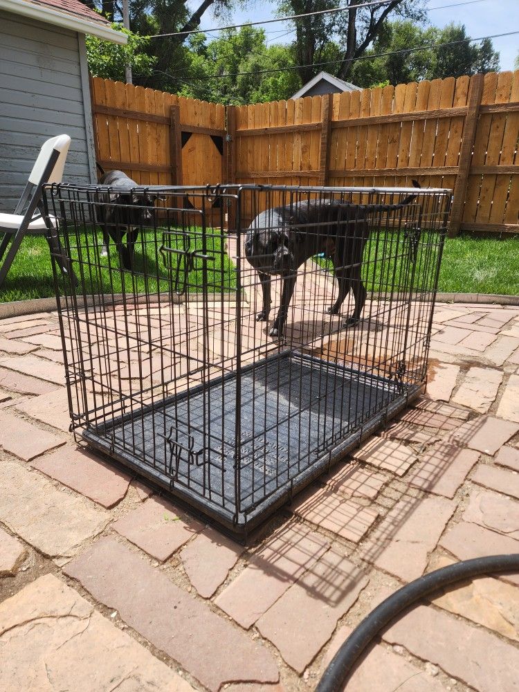 Large Wire Dog Kennel