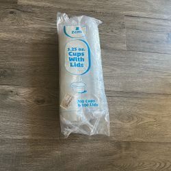 100 3.25oz Takeout Cups 