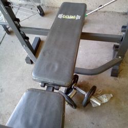 Weight Bench For Sale