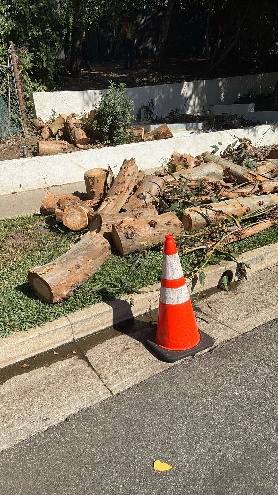 Free Tree logs