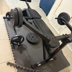 Chest Press