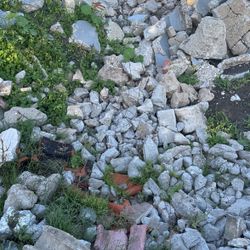 Free, Concrete