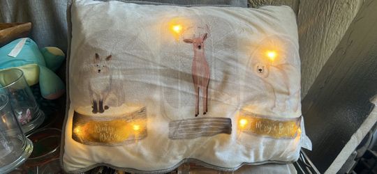 Light Up Pillow