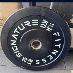 Pair Of 25 Pound Plates