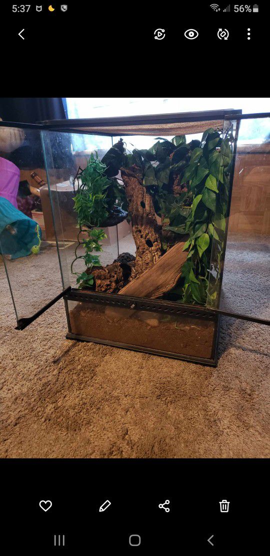 Exo Terra Tall Reptile Glass Enclosure