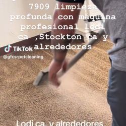 Limpieza De Carpetas 