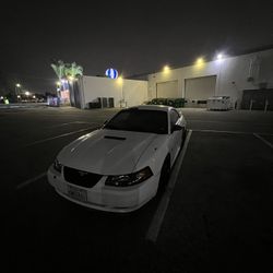 Mustang Hood