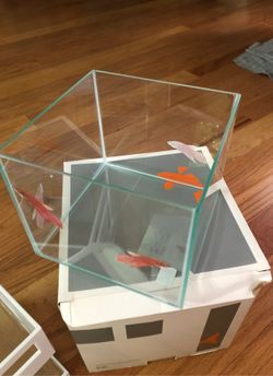 Aquarium