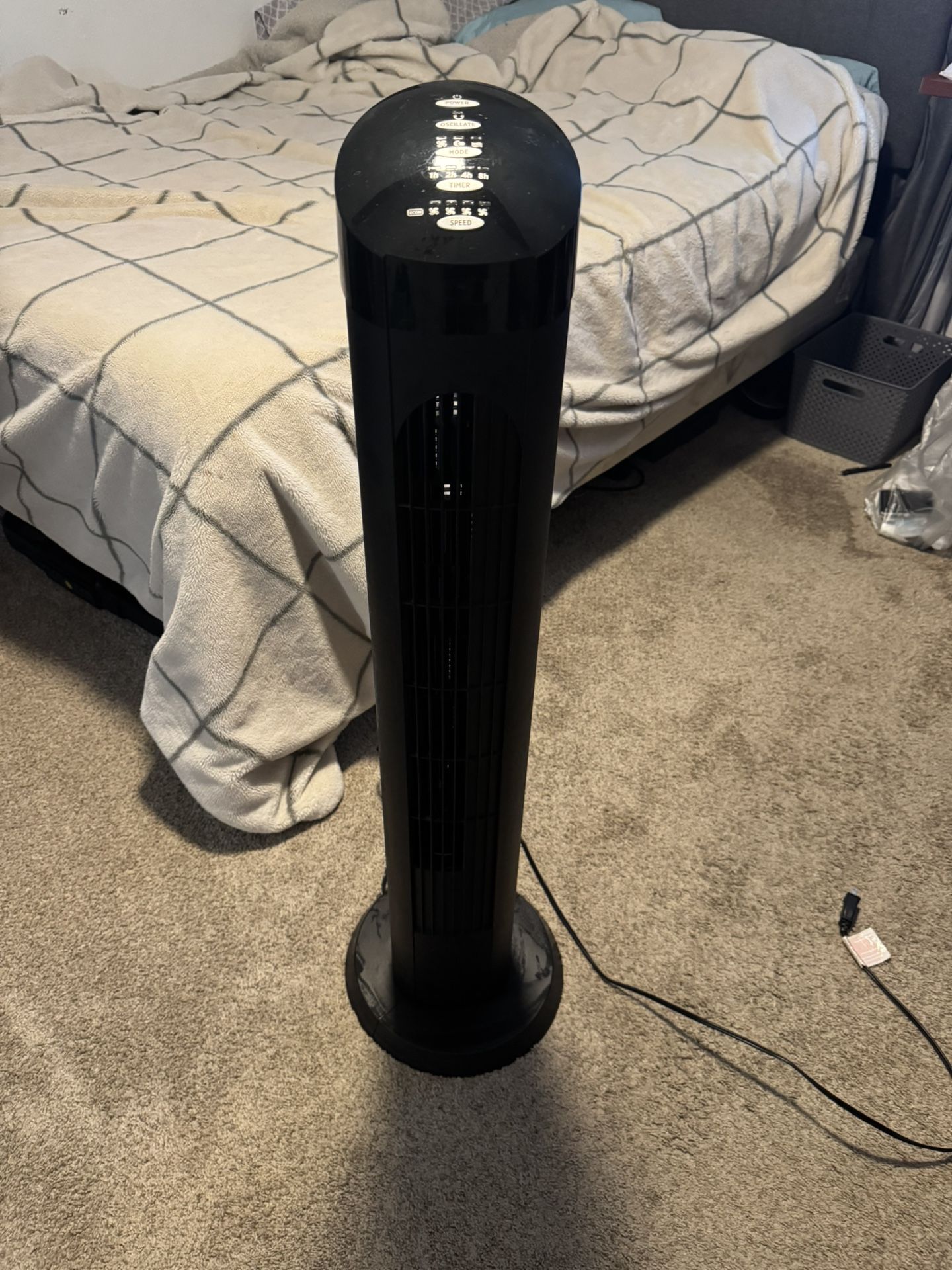 Fan