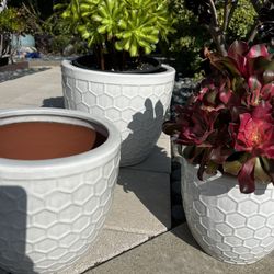 New Set Of 3 Ceramic Pots 