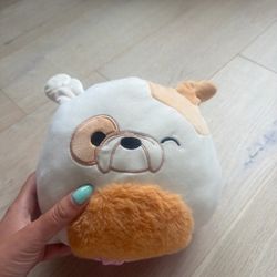 Reversible Squishmallow