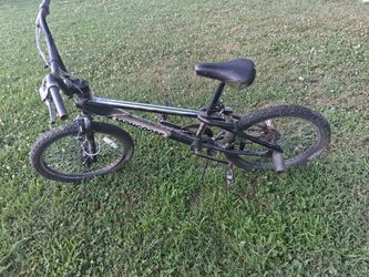 Mongoose 20 Inch Bike 